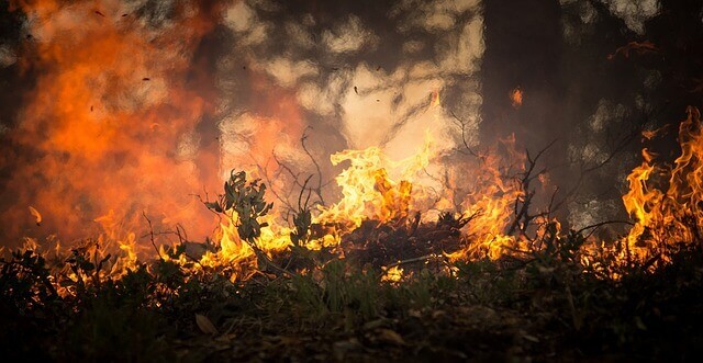 California Wild Fire