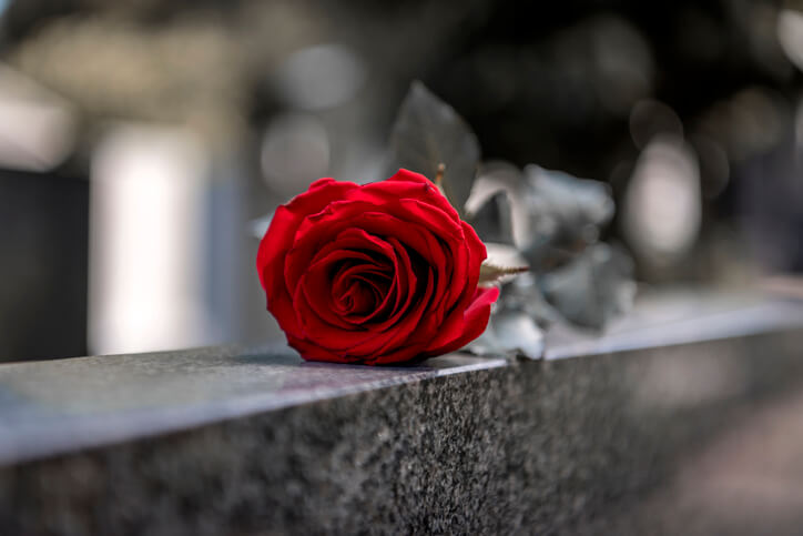 Rose on a tombstone