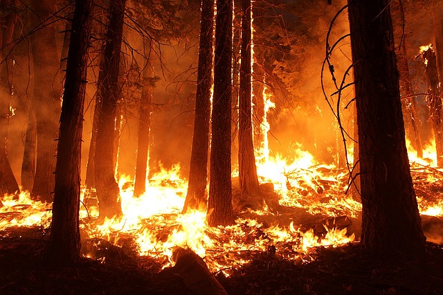 california wildfire that can lead to wildfire injury
