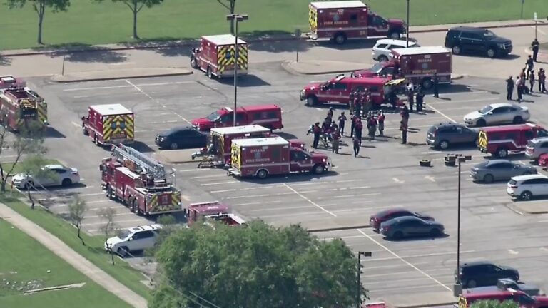 Dallas school shooting: Student injured, suspect in custody at Wilmer ...