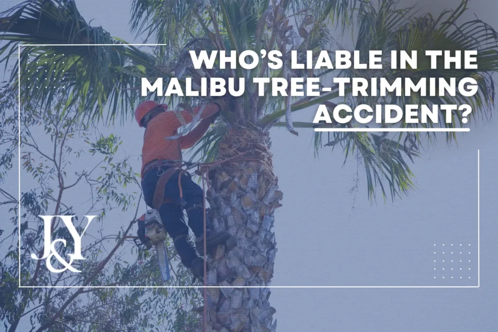 malibu-treetrimming-accident-who’s-liable-in-the