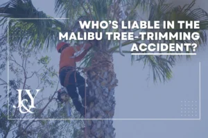 malibu-treetrimming-accident-who’s-liable-in-the