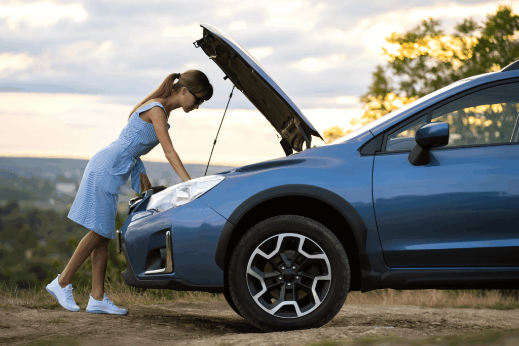 woman-hit-when-stranded-on-a-freeway-what-you-should-know-after-the-405-accident-car