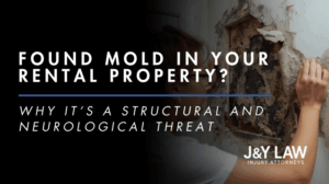 mold in rental property