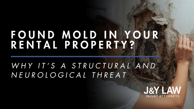 mold in rental property
