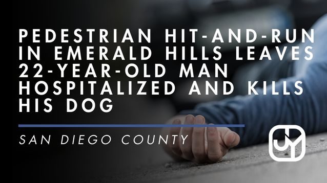Pedestrian Hit-and-Run in Emerald Hills
